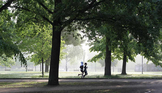 Couple en train de faire son jogging matinal dans un parc naturel avec un fond de brume