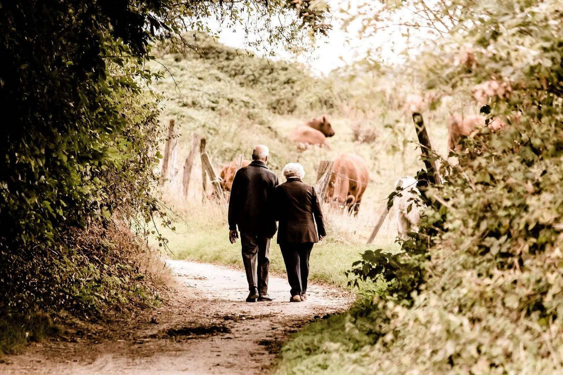Couple de personnes âgées qui marche dans un chemin de campagne situé à côté d'un champ de vaches